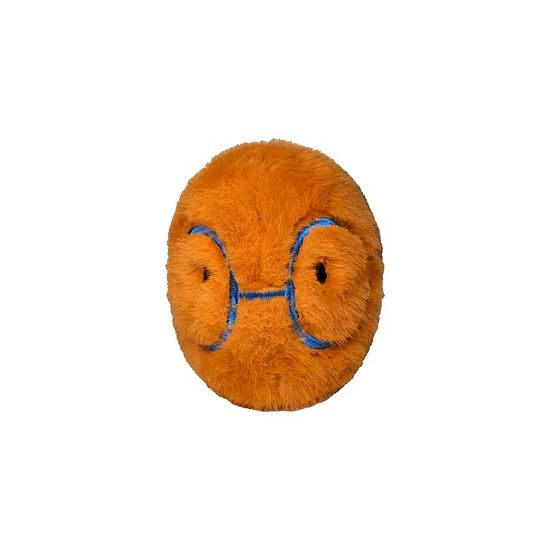  The Big One® Caterpillar Plushable Pillow