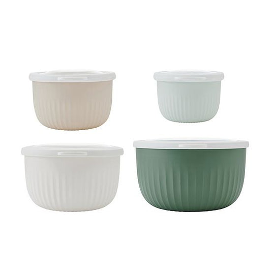  The Big One 4 Nesting Bowls & Lids